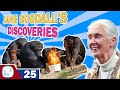 What are Jane Goodall’s Discoveries?