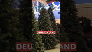 Weihnachtsbaum-Produktion: USA \u0026 Europa im Vergleich