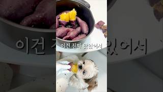 진짜! 맛있는 꿀고구마🍠 #shorts