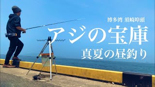 【福岡釣部 in 博多湾釣り】 060 【福岡 博多湾 須崎埠頭で真夏の昼釣り挑戦！】fukuoka  fishing club in hakata suzaki wharf.