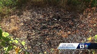 'It was horrendous': Birmingham man recalls finding decomposing body in Arlington-West End neighb...