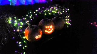 Halloween 2014 - Grim Grinning Ghosts and Singing Pumpkins
