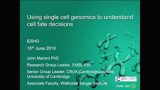 E01.1 Using single cell genomics to understand cell fate decisions