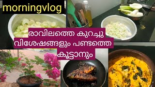 morningvlog #easybreakfast #രാവിലത്തെ കുറച്ചു വിശേഷങ്ങളും  പണ്ടത്തെ കൂട്ടാനും