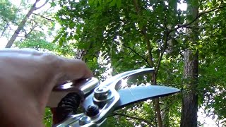 Product Review | Heavy Duty Pruning Shears