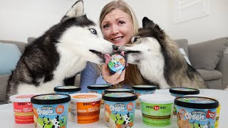 Trying Ben & Jerry's Doggy Ice Cream With My Dogs!