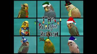 A Budgie Christmas