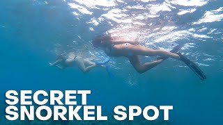 Our Favorite Snorkeling on Maui is in Kihei - The Detourist Guide To Travel - Maui Ep. 17