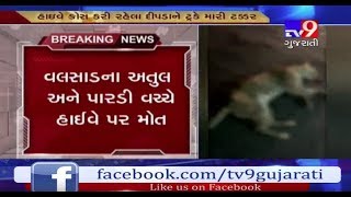 Valsad : Leopard died after being hit by truck on Ahmedabad-Mumbai National highway- Tv9