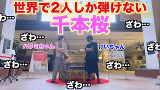 この2人にしか弾けない「千本桜」を閉店後のショッピングモールで弾いてみた【ハラミちゃん×けいちゃん】【ストリートピアノ】