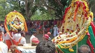 malnad suggi habba