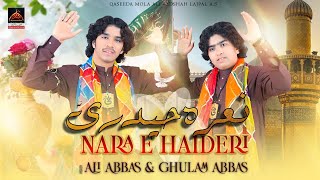 Zamana Nara E Haideri De Marda - Ali Abbas & Ghulam Abbas - 2023 | Qasida Mola Ali As