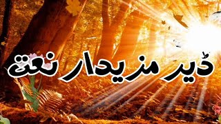 Pashto New Naat | Naat 2023 | Afghanistan Naat | Kharona Der Di Kho Zama Pke | @islamictuneplus