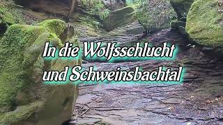 Wanderung in Hirsau durch die Wolfsschlucht und Schweinsbachtal