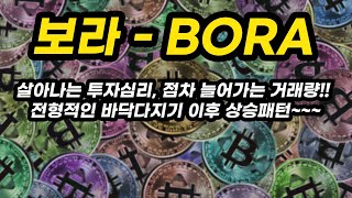 보라 - BORA 투자포인트│살아나는 투자심리, 점차 늘어가는 거래량!! 전형적인 바닥다지기 이후 상승패턴~~~