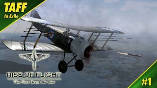 Rise of Flight | No.4 Squadron - Sopwith Pup  | New Career!