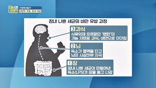 (헉) 유해균이 우리의 뇌를 조종해서 살을 찌게 만든다?! 오늘， 굿데이(goodday) 151회