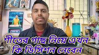 শীতের গাছ নিয়ে এখন কি ডিসিশন নেবেন