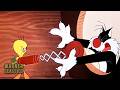 Looney Tunes | Bad Ol' Putty Tat | Warner Classics