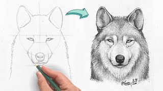 Cómo Dibujar un Lobo Realista a lápiz - paso a paso