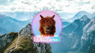Plusma - mochus - LofiHipHop Music ChillHop Chillout Chill Music for Studying & Relax🦙 🎧