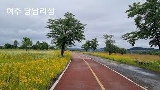 당남리섬/수레국화, 금계국, 보리밭, 호밀밭/ 경기도 여주시 대신면 천서리 700-2/2023년 5월 29일