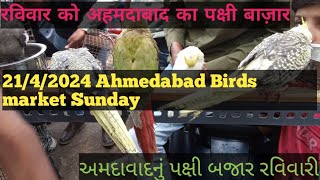 21/4/2024 Sunday Birds Market Ahmedabad  ||અમદાવાદનું પક્ષી બજાર રવિવારી||