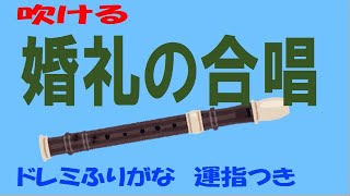 婚礼の合唱 ソプラノリコーダー ドレミ運指つき