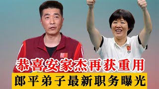 恭喜安家杰！郎平50岁得意弟子再获重用，女排最新职务曝光