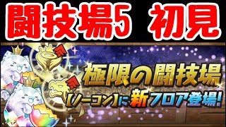 【パズドラ】新ダンジョン 闘技場5 異形の存在 初見ラードラで行くぞ！