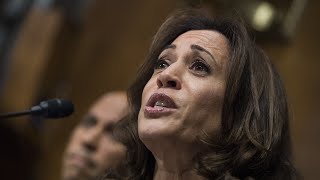 ‘Self-destructive glory’: Kamala Harris forgets the words to Pledge of Allegiance