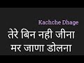 Tere Bin Nahi Jina Mar Jana Dolna Lyrics Hindi तेरे बिन नही जीना मर जाणा डोलना by PK