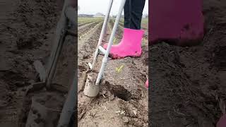 #farmernaturallife #satisfying #tranding #viralvideo