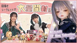 【ドール】お気に入りは誰？ブラインド大量開封に大苦戦!? ミステリアスな夢見の少女ドールを紹介