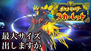 【ポケモンSV】色違い最大サイズを粘る作業配信 5【ヌル・ノストラダー】