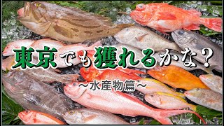 「東京でも獲れるかな？」水産物編