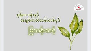 စွန့်စားခန်းနှင့်အချစ်ဇာတ်လမ်းတစ်ပုဒ် -မြသန်းတင့်