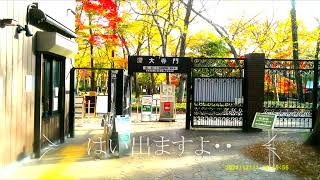 神代植物公園＆深大寺紅葉散策2024.12.11