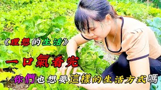 REP：一口氣看完她的《理想的生活》，你們也想要這樣的生活方式嗎？