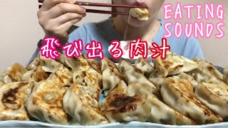 《Eating sounds》爆汁肉餃子!Pan-fried dumplings!