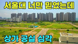 [빈집귀향]시흥시 배곧 상가 공실 문제 심각