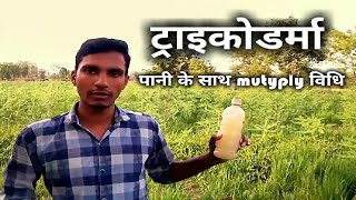 ट्राइकोडर्मा को पानी में multyply करने की विधि। trichoderma multyply in water.