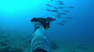 SPEARFISHING IN CLEAR WATER WITH MY FAVORITE(S) INVERT  || ΚΑΡΤΕΡΙΑ ΣΕ ΚΑΘΑΡΑ ΝΕΡΑ ΜΕ ΤΟ ΙΝΒΕΡΤΑΚΙ!!