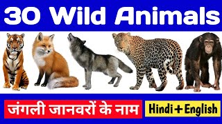30 wild animals name, 30 जंगली जानवरों के नाम, Wild animals, Animals, Animals name English to Hindi