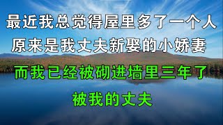 最近我總覺得屋裡多了一個人，原來是我丈夫新娶的小嬌妻，而我已經被砌進牆里三年了