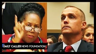 Best Moments From The Lewandowski Hearing