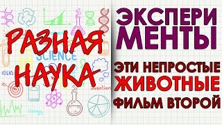 Эксперименты. Эти непростые животные. Фильм второй. HD