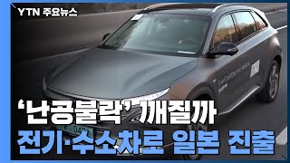 '난공불락' 일본시장 재도전...\