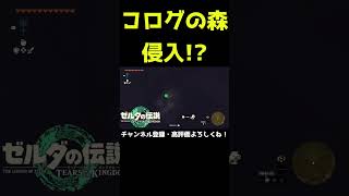 絶対に入れないコログの森に侵入！？【ゼルダの伝説 ティアーズ オブ ザ キングダム】【ティアキン】#Shorts