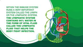 #HydrationForHealth By Electral | Explainer Video | Effect Of Hydration On Immune System